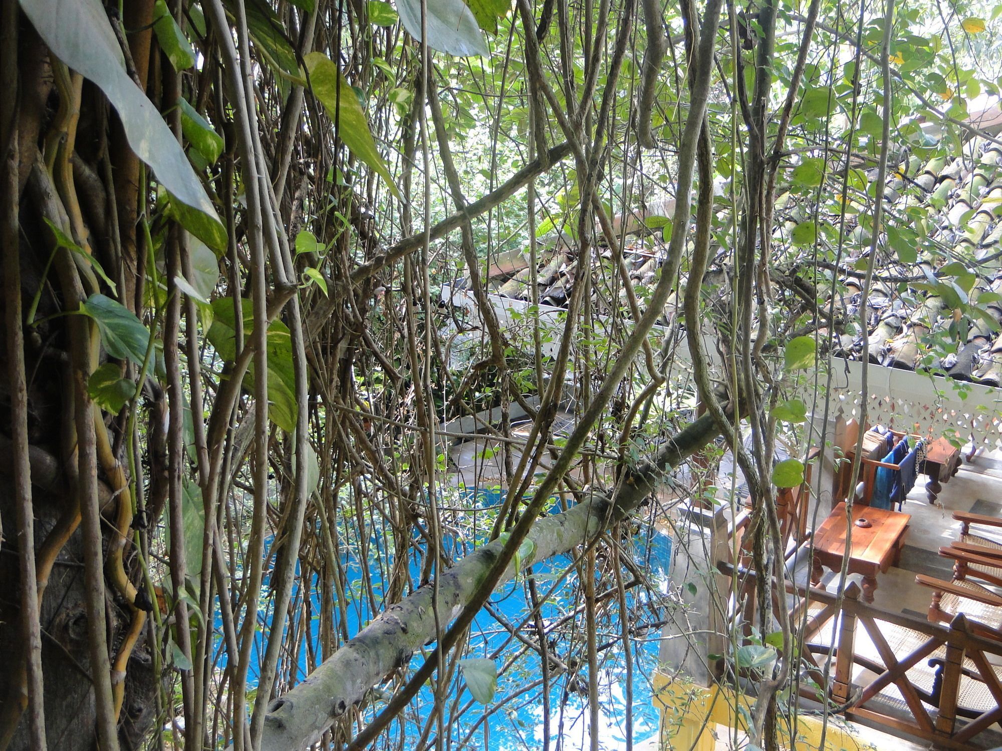 Thambapanni Retreat Unawatuna Exterior foto